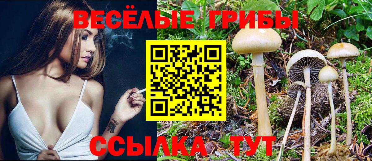 Бирск  Галлюциногенные грибы Psilocybe  Вход с VPN 